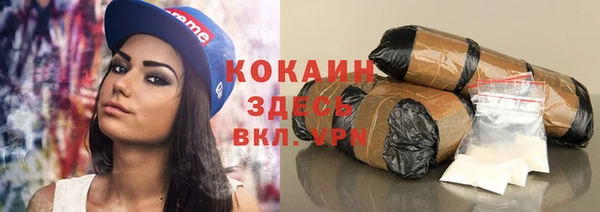 спайс Арсеньев