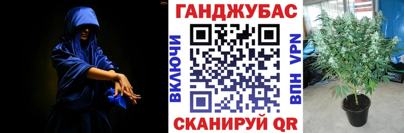 Каннабис гибрид Снежногорск